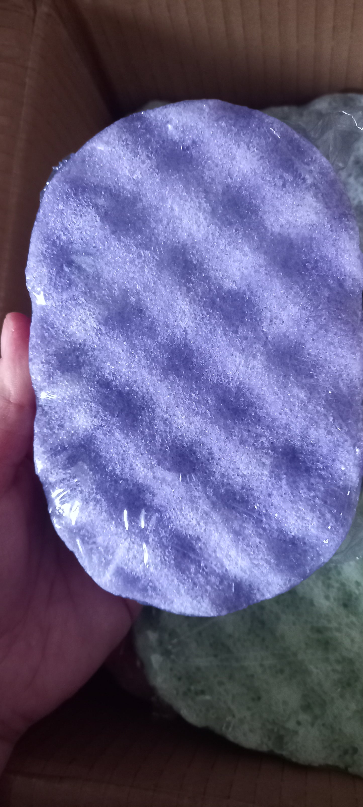 Soap Sponge