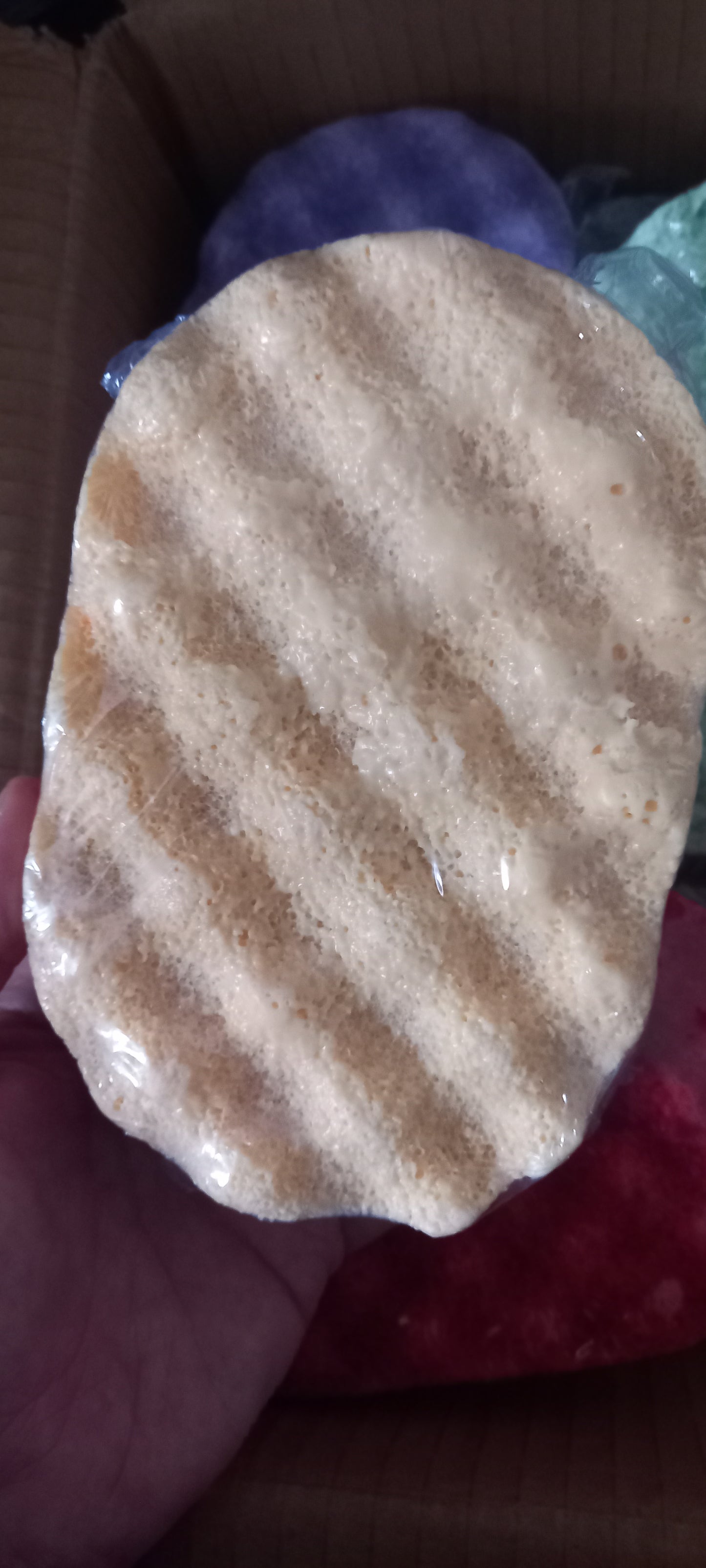 Soap Sponge